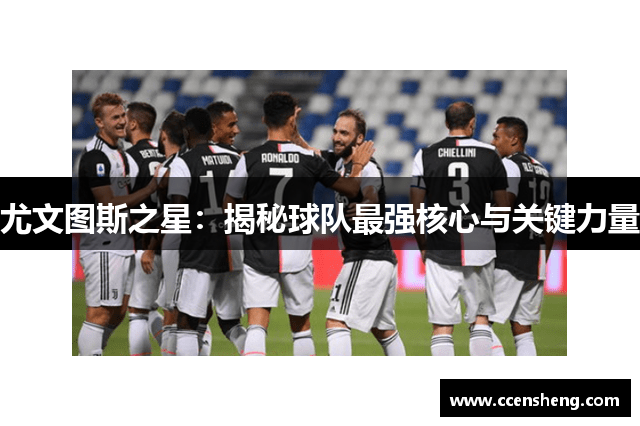 尤文图斯之星：揭秘球队最强核心与关键力量