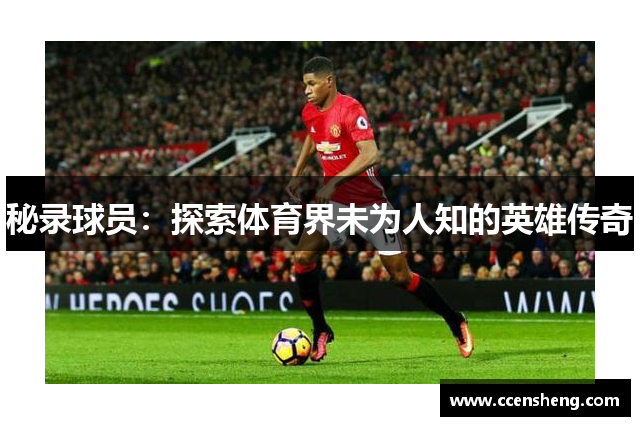 秘录球员：探索体育界未为人知的英雄传奇