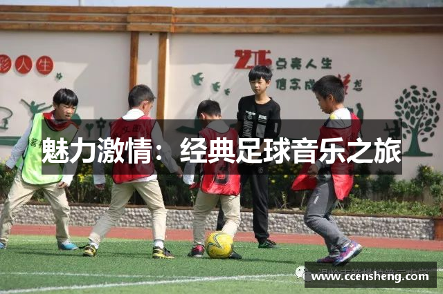 魅力激情：经典足球音乐之旅