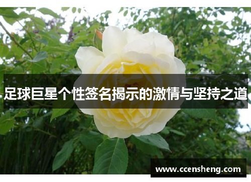 足球巨星个性签名揭示的激情与坚持之道