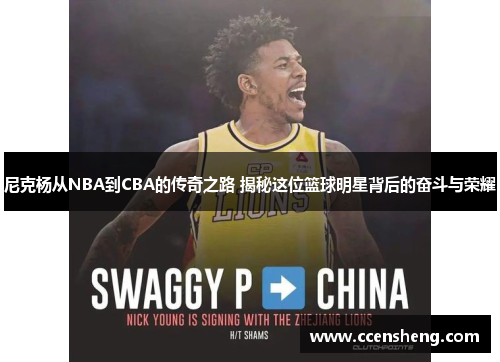 尼克杨从NBA到CBA的传奇之路 揭秘这位篮球明星背后的奋斗与荣耀