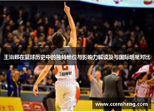 王治郅在篮球历史中的独特地位与影响力解读及与国际明星对比