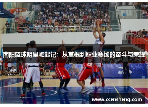 南阳篮球明星崛起记：从草根到职业赛场的奋斗与荣耀