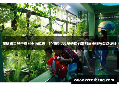 篮球明星尺子素材全面解析：如何通过尺码选择影响球员表现与装备设计